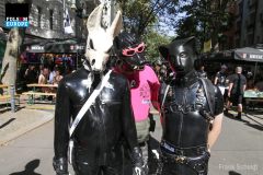 45-IMG_2398
