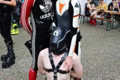 51-IMG_1573