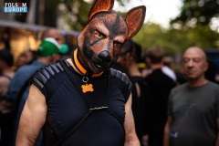 HVSX1443